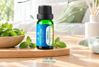Lan tỏa hương thơm tươi mát khắp căn nhà