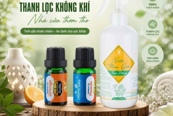 Combo thanh lọc không khí, nhà cửa thơm tho 