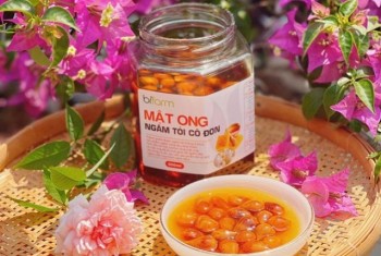 Kháng khuẩn, chống lão hoá nhờ hũ Mật ong ngâm tỏi cô đơn
