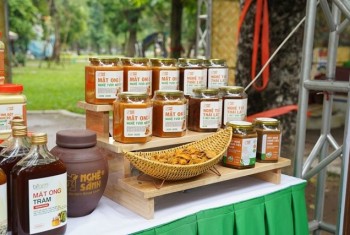 Tìm hiểu về Nghệ đỏ Hưng Yên giàu dinh dưỡng
