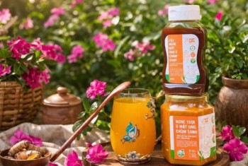 Những sự thật về nghệ sành