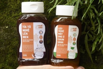 Khi cơ thể mệt mỏi, hãy để Nghệ Sành "ủ lại sức sống" cho bạn