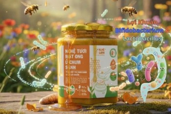 Nghệ probiotics cải thiện đau dạ dày do tác dụng phụ của thuốc tây ra sao? 